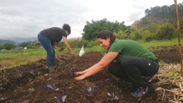 Ariana Zamora practica la siembra en huerto orgánico